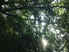 iphone_upload_pic-帽儿山风景区