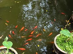 -白帝城·瞿塘峡景区