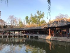 -团结湖公园