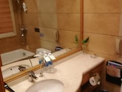 -长沙小天鹅戴斯酒店