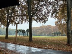 -河南省黄河迎宾馆