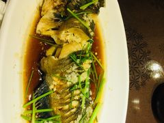 -福来齐·鲁菜海鲜·渔家菜(朝阳街分店)