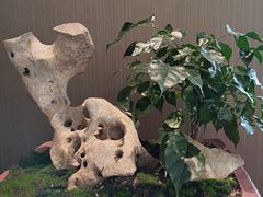 -上味·小海小鲜(中联店)