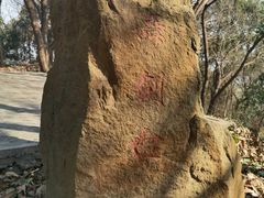 -上海佘山国家森林公园天马山园