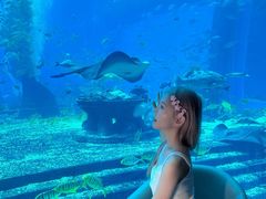 -OSSIANO奥西亚诺海底餐厅