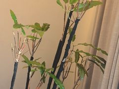 -上和臻品中国菜(花园街店)