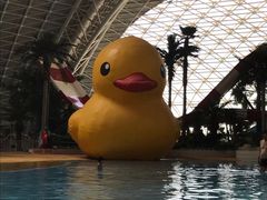 -天山海世界·米立方