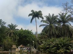 -中国科学院西双版纳热带植物园