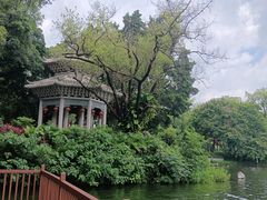 -荔湾湖公园