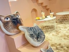 -猫儿山۰猫主题餐厅