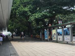 -九龙公园
