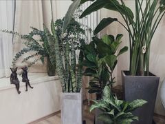 -秦美花卉(天朗·莱茵小城2期店)