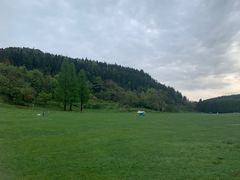 -武陵山森林公园