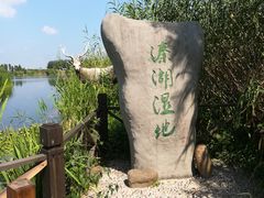 -溱湖国家湿地公园
