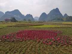 -靖西鹅泉风景区