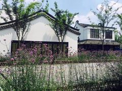 -乌镇景区
