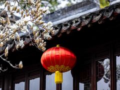 -上海醉白池公园