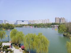 -青枫公园
