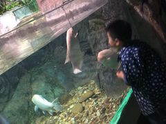 -常州海昌海洋探索馆