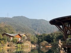 -杭州开元森泊度假乐园