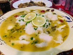 老坛酸菜鱼-大眼锅贴水饺(河东店)