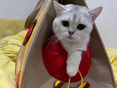 -麦当劳(杭州运河上街商业中心店)