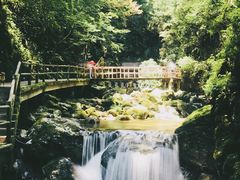 -牛背梁国家森林公园