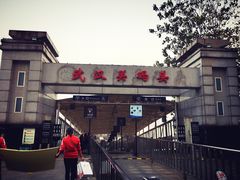 -武汉关码头(轮渡站)