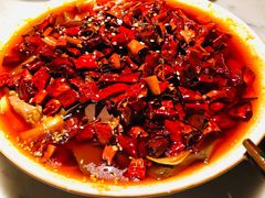 毛血旺-初蓉丨遇见新川菜(亲贤街荣耀店)