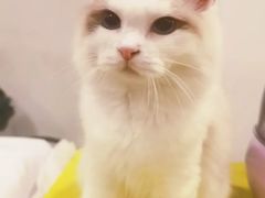 -中粮·祥云小镇