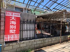 -大海别墅民宿农家院(十渡店)