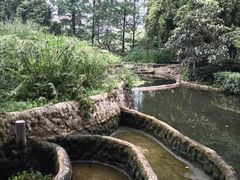 -成都市活水公园