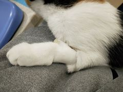 -美迦爱-牙专科·兔科·骨科诊疗中心(北苑店)