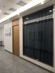 -碧莲盛·不剃发植发