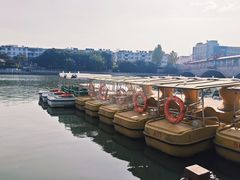 -凤城河风景区