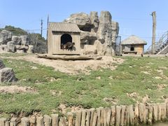 -上海野生动物园
