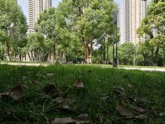 -重庆市江北嘴中央商务区中央公园