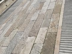 -荔湾湖公园