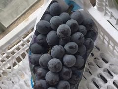 -马陆小张葡萄园农家乐