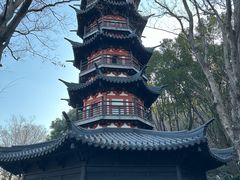 -上海佘山国家森林公园西佘山园