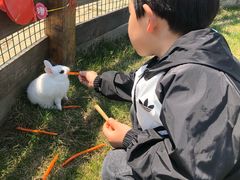 -前小桔亲子创意农场·草莓采摘·露营烧烤
