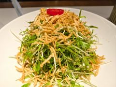 空心菜苗-打酱油·非遗淮扬菜(瘦西湖梅岭店)