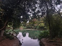 -花溪公园