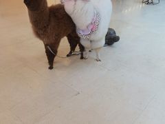 -阳光世纪奥特莱斯店