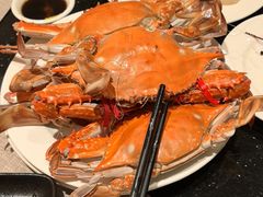 -东方红海鲜百汇(国际大厦店)