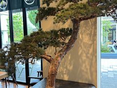 -三井奥特莱斯购物城(木更津店)
