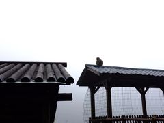 -神农山景区