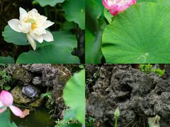 -田园印象·成都土菜院子(华阳店)