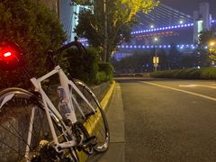 -新疆阿力烧烤