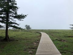 -芦芽山旅游度假区